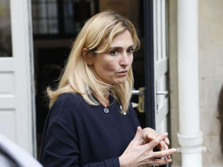 Julie Gayet Fils Maladie